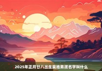 2025年正月廿八出生吴姓男孩名字叫什么