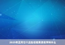 2025年正月廿八出生任姓男孩名字叫什么