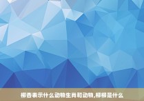 柳杏表示什么动物生肖和动物,柳柳是什么