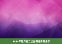 2024年腊月廿二出生阎姓男孩名字