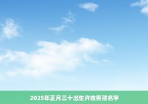 2025年正月三十出生许姓男孩名字