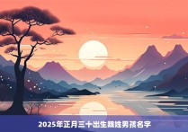 2025年正月三十出生魏姓男孩名字