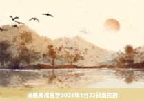 汤姓男孩名字2025年1月22日出生的