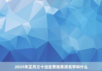 2025年正月三十出生贾姓男孩名字叫什么