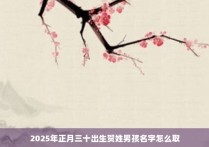 2025年正月三十出生贺姓男孩名字怎么取