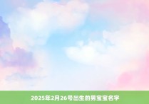 2025年2月26号出生的男宝宝名字