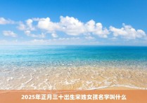 2025年正月三十出生宋姓女孩名字叫什么