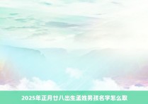 2025年正月廿八出生孟姓男孩名字怎么取