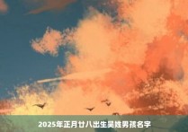 2025年正月廿八出生吴姓男孩名字