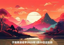 于姓男孩名字2025年1月20日出生的