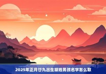 2025年正月廿九出生胡姓男孩名字怎么取