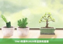 1961年属牛2025年运势完整版