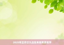 2025年正月廿九出生朱姓男孩名字