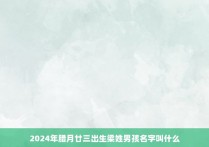 2024年腊月廿三出生梁姓男孩名字叫什么